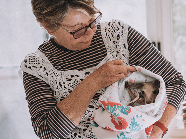 RSPCA Rescue Team attend to calls about injured wildlife in Queensland